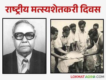 National Fish Day : राष्ट्रीय मत्स्यशेतकरी दिवस : कार्प माशांच्या प्रेरित प्रजननाची संकल्पना कशी सुचली? - Marathi News | Latest News dr. Hiralal Chaudhary who presented the concept of fish seed production in india | Latest News at Lokmat.com National Fish Day : राष्ट्रीय मत्स्यशेतकरी दिवस : कार्प माशांच्या प्रेरित प्रजननाची संकल्पना कशी सुचली? - Marathi News | Latest News dr. Hiralal Chaudhary who presented the concept of fish seed production in india | Latest News at Lokmat.com