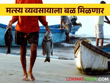 Fishery: मत्स्य व्यवसायाला मत्स्य शेतीचा दर्जा मिळणार - Marathi News | Fishery: Fishing business will get the status of fish farming | Latest News at Lokmat.com Fishery: मत्स्य व्यवसायाला मत्स्य शेतीचा दर्जा मिळणार - Marathi News | Fishery: Fishing business will get the status of fish farming | Latest News at Lokmat.com