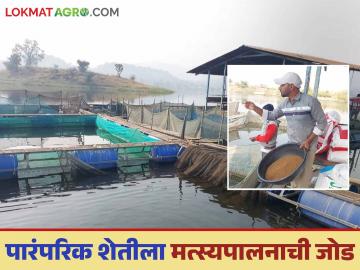 Fish Farming : पारंपरिक शेतीला पिंजऱ्यातील मत्स्यपालनाची जोड, नंदुरबारच्या शेतकऱ्याची कमाल - Marathi News | latest News Success Story Cage fish farming by Nandurbar farmer see details | Latest News at Lokmat.com Fish Farming : पारंपरिक शेतीला पिंजऱ्यातील मत्स्यपालनाची जोड, नंदुरबारच्या शेतकऱ्याची कमाल - Marathi News | latest News Success Story Cage fish farming by Nandurbar farmer see details | Latest News at Lokmat.com