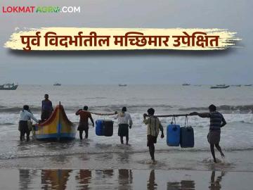 Fisherman : तुम्हाला माहित आहे का; पूर्व विदर्भात मासेमारी होते तरी किती? जाणून घेऊया सविस्तर - Marathi News | Fisherman : Do you know; How much is fishing in East Vidarbha? Let's know in detail | Latest News at Lokmat.com
