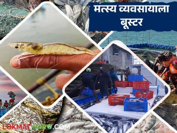राज्यातील मत्स्य व्यवसायासाठी शासनाचा महत्वपूर्ण निर्णय; आता कर्जावर मिळणार ४ टक्के व्याज सवलत - Marathi News | Government's important decision for the fishing industry in the state; Now 4 percent interest subsidy will be available on loans | Latest agri-business News at Lokmat.com