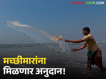 Fishery Scheme : मत्स्यव्यवसायाला चालना; जाळी, होडी व साधनांवर मिळणार अर्थसाहाय्य वाचा सविस्तर - Marathi News | latest news Fishery Scheme: Promotion of fisheries; Financial assistance will be provided on nets, boats and equipment. Read in detail | Latest News at Lokmat.com