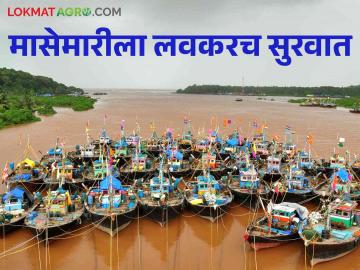 बंदीनंतर १ ऑगस्टपासून सुरू होणार खोल समुद्रातील मासेमारी - Marathi News | After the ban, deep sea fishing will start from August 1 | Latest News at Lokmat.com बंदीनंतर १ ऑगस्टपासून सुरू होणार खोल समुद्रातील मासेमारी - Marathi News | After the ban, deep sea fishing will start from August 1 | Latest News at Lokmat.com