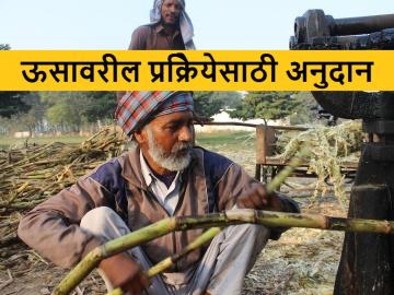 food processing scheme: सूक्ष्म अन्न प्रक्रिया उद्योगासाठी कोल्हापूर जिल्हयासाठी मिळणार इतके कोटी - Marathi News | Under PM Micro food processing scheme Kolhapur district gets Provision of seven and a half crores | Latest News at Lokmat.com food processing scheme: सूक्ष्म अन्न प्रक्रिया उद्योगासाठी कोल्हापूर जिल्हयासाठी मिळणार इतके कोटी - Marathi News | Under PM Micro food processing scheme Kolhapur district gets Provision of seven and a half crores | Latest News at Lokmat.com