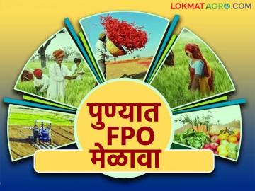 जुन्या शेतकरी उत्पादक संस्था (FPO) तसेच FPO स्थापन करू इच्छित असणाऱ्या शेतकऱ्यांसाठी सुवर्णसंधी - Marathi News | Golden opportunity for old Farmer Producer Organizations (FPOs) as well as farmers who want to set up FPOs | Latest News at Lokmat.com