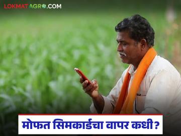 Agriculture News : हँडसेट नसल्याने मोफत सिमकार्ड वापर शुन्य; १८७ कृषी अधिकारी प्रतीक्षेत - Marathi News | latest news Agriculture News: Free SIM card usage zero due to lack of handsets; 187 agriculture officers waiting | Latest News at Lokmat.com