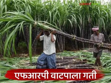 Sugarcane FRP Payment : ऊस गाळपाला वेग, शेतकऱ्यांना दिलासा; २७७ कोटींची एफआरपी जमा - Marathi News | latest news Sugarcane FRP Payment: Sugarcane crushing speed up, relief for farmers; FRP deposit of Rs 277 crore | Latest News at Lokmat.com