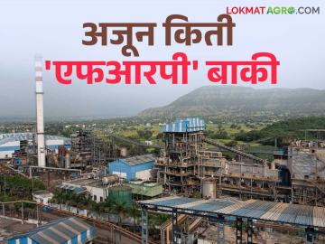 Sugarcane FRP 2024-25 : 'एफआरपी'चे १३ हजार ९८२ कोटी शेतकऱ्यांच्या बँक खात्यावर जमा - Marathi News | Sugarcane FRP 2024-25 : Rs 13,982 crore of Sugarcane 'FRP' deposited in farmers bank accounts | Latest News at Lokmat.com