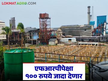 'दत्त शिरोळ' साखर कारखाना एफआरपीपेक्षा शंभर रुपये जादा देणार; यंदा प्रतिटन कसा दिला दर? - Marathi News | 'Datta Shirol' sugar factory will pay Rs 100 more than FRP; How did it pay the price per ton this year? | Latest News at Lokmat.com