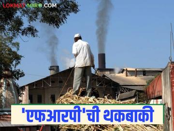 FRP Sugarcane : ऊस उत्पादकांची ५३३ कोटी ८८ लाख रुपये थकबाकी; कोणत्या साखर कारखान्याकडे किती बाकी? - Marathi News | FRP Sugarcane : Sugarcane producers frp owe Rs 533 crore 88 lakh; How much is owed by which sugar factory? | Latest News at Lokmat.com