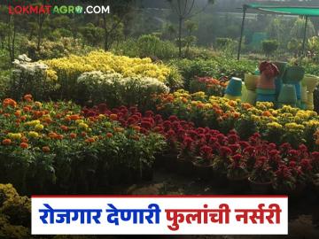 शिक्षण केवळ बारावी, आता फुलांच्या नर्सरीतून 50 लाखांची उलाढाल, तरुणांसाठी ठरतोय प्रेरणादायी - Marathi News | Latest News Farmer Success Story young farmer with only 12th pass earns millions from his flower nursery from bhandara | Latest success-story News at Lokmat.com