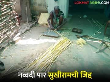 नव्वद वर्षाचा तरुण, टाेपल्या विणून संसार सावरणाऱ्या सुखीरामची प्रेरणादायी गोष्ट  - Marathi News | Latest News Ninety-year-old Sukhiram Tirpude of Gadchiroli district still weaves baskets | Latest News at Lokmat.com