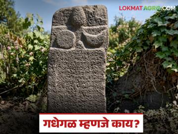 विहिरीत सापडली चौदाव्या शतकातील गधेगळ, गधेगळ म्हणजे काय, त्याच इतिहासात काय महत्व?  - Marathi News | Latest news 14th century stone was found in well in raigad What is mean by gadhegal | Latest farming-ideas News at Lokmat.com