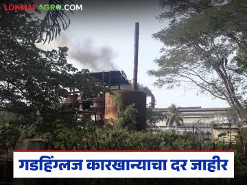 स्वाभिमानीच्या आंदोलनानंतर गडहिंग्लज कारखान्याचा दर जाहीर; अखेर कसा दिला दर? - Marathi News | After the Swabhimani movement the price of sugaracane from Gadhinglaj factory was announced; How was the price finally given? | Latest News at Lokmat.com