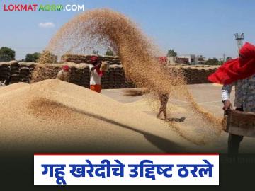 केंद्र सरकारकडून 303 लाख मेट्रिक टन गहू खरेदीचे उद्दिष्ट, कधीपासून सरकारी दराने खरेदी?  - Marathi News | Latest news central government has set a target of purchasing 303 million metric tons of wheat, from when will it be purchased at government rates? | Latest News at Lokmat.com