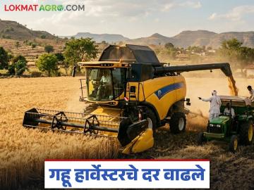 हार्वेस्टरने गहू काढणीसाठी एकरी 2800 रुपयांचा रेट, तुमच्याकडे काय रेट सुरूय, वाचा सविस्तर  - Marathi News | Latest News gahu Kahdani Harvester charges Rs 2800 per acre for wheat harvesting | Latest News at Lokmat.com