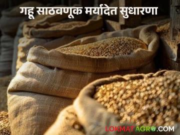 Wheat Storage : गहू साठवणाऱ्या व्यापारी, विक्रेते, प्रक्रियाकर्ते यांना केंद्र शासनाकडून महत्वाचं आवाहन - Marathi News | Latest News gahu sathvanuk Important appeal from the government to traders, sellers, and processors who store wheat | Latest News at Lokmat.com Wheat Storage : गहू साठवणाऱ्या व्यापारी, विक्रेते, प्रक्रियाकर्ते यांना केंद्र शासनाकडून महत्वाचं आवाहन - Marathi News | Latest News gahu sathvanuk Important appeal from the government to traders, sellers, and processors who store wheat | Latest News at Lokmat.com