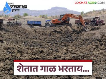 शेतात गाळ भरताय? कोणत्या प्रकारचा गाळ भरणे योग्य? जाणून घ्या सविस्तर - Marathi News | Are you filling the fields with silt? What type of silt is suitable? Know in detail | Latest News at Lokmat.com शेतात गाळ भरताय? कोणत्या प्रकारचा गाळ भरणे योग्य? जाणून घ्या सविस्तर - Marathi News | Are you filling the fields with silt? What type of silt is suitable? Know in detail | Latest News at Lokmat.com