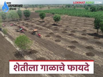 शेतकऱ्यांनो शेतात गाळ भराल तर होतील हे चार फायदे; जाणून घ्या सविस्तर - Marathi News | Farmers will get these four benefits if they fill their fields with silt; Know in detail | Latest News at Lokmat.com शेतकऱ्यांनो शेतात गाळ भराल तर होतील हे चार फायदे; जाणून घ्या सविस्तर - Marathi News | Farmers will get these four benefits if they fill their fields with silt; Know in detail | Latest News at Lokmat.com