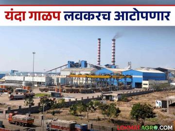 Sugarcane FRP : यंदा उसाचा तुटवडा; ऊस मिळविण्यासाठी कारखान्यांत वाढीव ऊसदर देण्याची स्पर्धा - Marathi News | Sugarcane FRP: Sugarcane shortage this year; Competition among factories to offer increased sugarcane rates to get sugarcane | Latest News at Lokmat.com