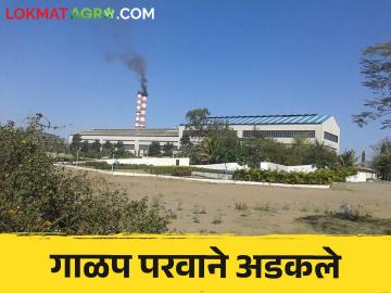 Us Galap 2024 : देणी थकविणाऱ्या या कारखान्यांचे गाळप परवाने प्रादेशिक कार्यालयातच अडकले - Marathi News | Us Galap 2024 : Sugarcane crushing licenses of these debt-ridden factories were stuck in the regional office | Latest News at Lokmat.com