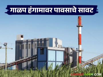 Nashik Sakhar Karkhane : नाशिक जिल्ह्यातील साखर कारखान्यांची गळीत हंगामाची सध्याची स्थिती काय?  - Marathi News | Latest news Nashik Sugar Factory current status of crushing season of sugar factories in Nashik district | Latest agri-business News at Lokmat.com