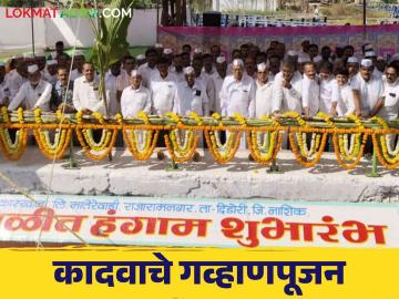 Agriculture News : 04 लाख मे टन ऊस गाळपाचे उद्दिष्ट, कादवा कारखान्याचे गव्हाणपुजन संपन्न  - Marathi News | Latest News Agriculture News Goal of 04 lakh tonnes of sugarcane millage of Kadwa sugar factory | Latest News at Lokmat.com