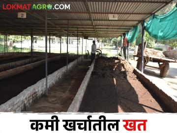 सेंद्रिय शेतीकडे वाढतोय कल; ह्या खताच्या उत्पादनातून कमवा बक्कळ पैसा - Marathi News | Growing trend towards organic farming; Earn a lot of money from the production of this fertilizer | Latest News at Lokmat.com सेंद्रिय शेतीकडे वाढतोय कल; ह्या खताच्या उत्पादनातून कमवा बक्कळ पैसा - Marathi News | Growing trend towards organic farming; Earn a lot of money from the production of this fertilizer | Latest News at Lokmat.com