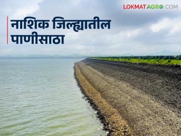 Nashik Dam Storage : दहा दिवसांतच नाशिकचा पाणीसाठा सात टक्क्यांनी घटला, वाचा सविस्तर  - Marathi News | Latest News Nashik's water storage decreased by seven percent in ten days, read in detail | Latest News at Lokmat.com