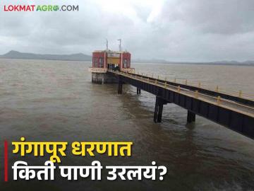 Gangapur Dam : गंगापूर, दारणा धरण किती टक्कयांवर? नाशिक जिल्ह्यातील धरणांत किती पाणी?  - Marathi News | Latest News how much water un gangapur and darana dam of nashik district see details | Latest News at Lokmat.com