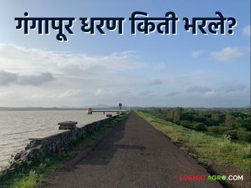 Gangapur Dam Storage : गंगापूर, दारणा, भावली धरणांत किती पाणी आलं? वाचा आजचा पाणीसाठा - Marathi News | Latest News How much water came in Gangapur, Darna, Bhavli dams Read details | Latest News at Lokmat.com Gangapur Dam Storage : गंगापूर, दारणा, भावली धरणांत किती पाणी आलं? वाचा आजचा पाणीसाठा - Marathi News | Latest News How much water came in Gangapur, Darna, Bhavli dams Read details | Latest News at Lokmat.com