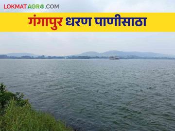 Nashik Dam Storage : गंगापूर, दारणा, गिरणा धरण शंभरीकडे, नाशिक जिल्ह्यातील पाणीसाठा किती?  - Marathi News | Latest news Nashik dam Storage How much water storage in Gangapur, Darna, Girna dam, Nashik district | Latest News at Lokmat.com