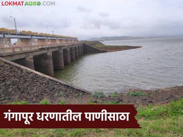 गंगापूर धरणात किती पाणी शिल्लक, नाशिकच्या जिल्ह्यातील इतर धरणात किती पाणीसाठा?  - Marathi News | Latest news How much water is left in Gangapur Dam of Nashik district | Latest News at Lokmat.com