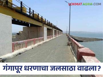 Gangapur Dam : गंगापूर, गिरणा, भावली धरणात किती पाणी आलं, जाणून घ्या सविस्तर - Marathi News | Latest News Know in detail how much water came in Gangapur, Girna, Bhavli Dam | Latest News at Lokmat.com