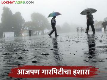 Weather Update राज्यात पावसाचा अंदाज; कुठे गारपीट होण्याची शक्यता - Marathi News | Weather Update Rain forecast in the state; Where there is a chance of hailstorm | Latest News at Lokmat.com
