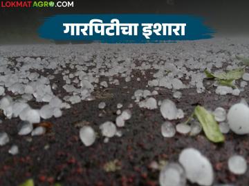 गुढीपाडव्यापासून पुढील तीन दिवस वातावरणात बदल; राज्यात 'या' जिल्ह्यांत गारपिटीचा इशारा - Marathi News | Maharashtra Weather Update: Thunderstorms and rains forecast; Hail warning in 'these' places in the state | Latest News at Lokmat.com