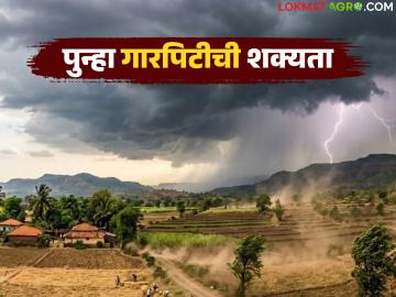 शेतकऱ्यांनो पिक काढणीची कामे उरकून घ्या; राज्यात 'ह्या' तारखेला पुन्हा गारपिटीची शक्यता - Marathi News | Farmers, complete your harvest work; There is a possibility of hailstorm again in the state on 'this' date | Latest News at Lokmat.com