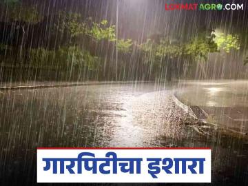 Maharashtra Weather Update : राज्यात पुढील दोन दिवस या जिल्ह्यांत पावसासह गारपिटीचा इशारा - Marathi News | Maharashtra Weather Update : Rain and hailstorm warning in these districts for the next two days in the state | Latest News at Lokmat.com