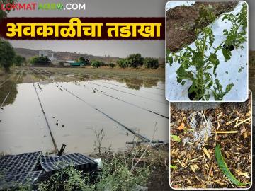 वादळी वाऱ्यासह अर्धा तास गारपीट झाली अन् सगळी पिकं पाण्याखाली गेली - Marathi News | There was hailstorm with gale force winds for half an hour and all the crops were damaged | Latest News at Lokmat.com
