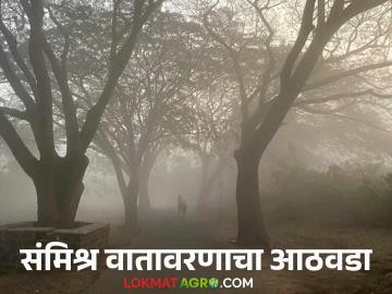 Maharashtra Weather Update : 'या' जिल्ह्यांत पाऊस, गारपिटीची शक्यता, वाचा आठवड्यातील हवामान अंदाज  - Marathi News | Latest News Maharashtra Weather Update Chance of rain, hail in 25 maharashtra districts, read details | Latest News at Lokmat.com