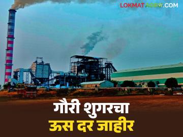 यंदाच्या गाळप हंगामासाठी 'गौरी शुगर'चा ऊस दर जाहीर; पहिली उचल किती देणार? - Marathi News | 'Gauri Sugar' announces sugarcane price for this crushing season; How much will be paid for the first harvest? | Latest News at Lokmat.com यंदाच्या गाळप हंगामासाठी 'गौरी शुगर'चा ऊस दर जाहीर; पहिली उचल किती देणार? - Marathi News | 'Gauri Sugar' announces sugarcane price for this crushing season; How much will be paid for the first harvest? | Latest News at Lokmat.com