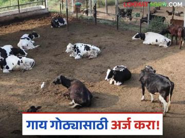 Gay Gotha Anudan : गाय गोठ्यासाठी सव्वा दोन लाखांपर्यंत अनुदान, अशी आहे संपूर्ण प्रक्रिया - Marathi News | Latest News gay Gotha anudan Grant of up to two lakhs 25 thousand for cowshed, see complete process | Latest News at Lokmat.com Gay Gotha Anudan : गाय गोठ्यासाठी सव्वा दोन लाखांपर्यंत अनुदान, अशी आहे संपूर्ण प्रक्रिया - Marathi News | Latest News gay Gotha anudan Grant of up to two lakhs 25 thousand for cowshed, see complete process | Latest News at Lokmat.com