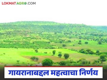 राज्यातील गायरान जमिनीवरील अतिक्रमणे होणार आता नियमित; वाचा कुणाकुणाला कसा होणार फायदा? - Marathi News | Encroachments on uncultivated land in the state will now be regular; Read How will it benefit everyone? | Latest News at Lokmat.com