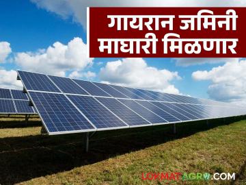 सौर प्रकल्पासाठी घेतलेल्या गायरान जमिनी पुन्हा ग्रामपंचायतीना मिळणार; काय आहे प्रकरण? वाचा सविस्तर - Marathi News | The uncultivated lands taken for solar projects will be returned to the Gram Panchayat; What is the matter? Read in detail | Latest News at Lokmat.com