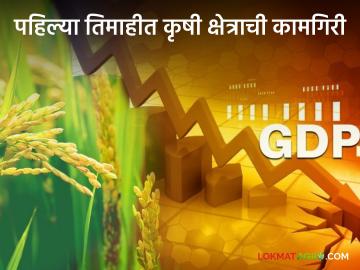 Agriculture Growth Rate : कृषी क्षेत्रात पहिल्या तिमाहीत कसे राहीले उत्पादन? वाचा सविस्तर  - Marathi News | Agriculture Growth Rate: How was the production in the first quarter of the agriculture sector? Read in detail  | Latest News at Lokmat.com