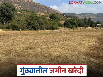शासनाने तुकडेबंदीचा कायदा शिथिल केला; आता ४-५ गुंठे जमीन खरेदी करता येईल का? - Marathi News | The government has now relaxed the law of land fragmentation; can 4-5 gunthas of land be purchased now? | Latest News at Lokmat.com