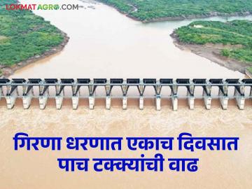 Girana Dam : गिरणा धरणात एकाच दिवसात पाच टक्क्यांची वाढ, आज किती पाणीसाठा? - Marathi News | latest news Five percent increase in Girana Dam in one day, how much water in girana dam | Latest News at Lokmat.com Girana Dam : गिरणा धरणात एकाच दिवसात पाच टक्क्यांची वाढ, आज किती पाणीसाठा? - Marathi News | latest news Five percent increase in Girana Dam in one day, how much water in girana dam | Latest News at Lokmat.com