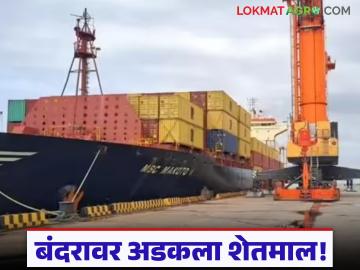 Global War Impact : युद्धाचा थेट फटका शेतकऱ्यांना; कोट्यवधींची उलाढाल ठप्प, वाचा सविस्तर - Marathi News | latest news Global War Impact: Direct impact of war on farmers; Turnover worth crores halted Read in detail | Latest News at Lokmat.com Global War Impact : युद्धाचा थेट फटका शेतकऱ्यांना; कोट्यवधींची उलाढाल ठप्प, वाचा सविस्तर - Marathi News | latest news Global War Impact: Direct impact of war on farmers; Turnover worth crores halted Read in detail | Latest News at Lokmat.com