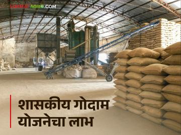 Agriculture News : 'गाव तिथे गोदाम' योजनेतून पाच गोदामांची उभारणी, शेतमाल साठवणुकीसाठी सोयीस्कर  - Marathi News | Latest News Construction of five godowns under 'Gaon Atal Godown' scheme see details | Latest News at Lokmat.com