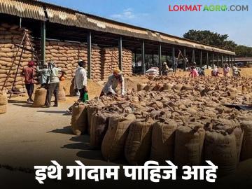 1500 मेट्रिक टन क्षमता असलेल्या गोदामांची आवश्यकता, काय आहेत निकष, वाचा संपूर्ण प्रक्रिया - Marathi News | Latest News Requirements for warehouses with a capacity of 1500 metric tons read the complete process | Latest News at Lokmat.com 1500 मेट्रिक टन क्षमता असलेल्या गोदामांची आवश्यकता, काय आहेत निकष, वाचा संपूर्ण प्रक्रिया - Marathi News | Latest News Requirements for warehouses with a capacity of 1500 metric tons read the complete process | Latest News at Lokmat.com